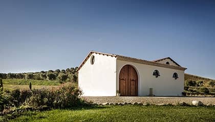 Antonella Corda Wein